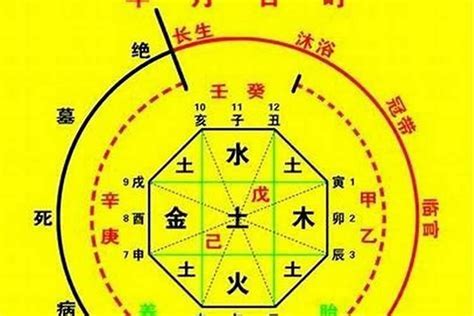 喜用水|八字喜水人的特征 (八字喜水的命局如何改运)